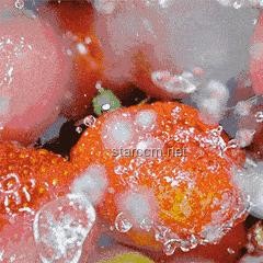 一万暴击！科技、经济、社会与心理的未来趋势预测